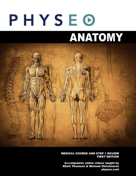 physo  Anatomy 2020 - آزمون های امریکا Step 1